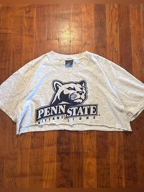 Vintage ‘90s Penn State University PSU Cropped Gray Blue Lion Graphic T-shirt L